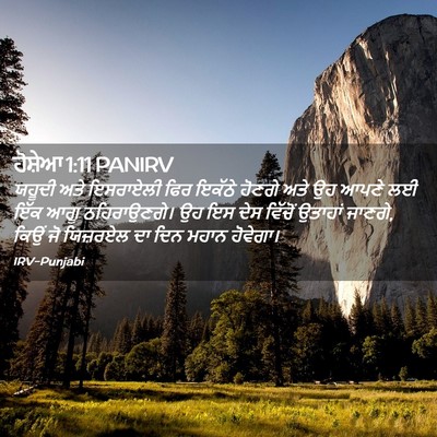 Picture 02 - ਹੋਸ਼ੇਆ 1:11 PANIRV - ਯਹੂਦੀ ਅਤੇ ਇਸਰਾਏਲੀ - Bible Verse Picture