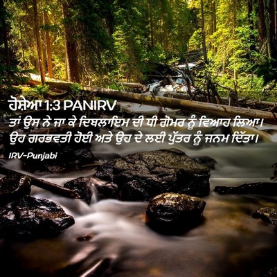 Picture 02 - ਹੋਸ਼ੇਆ 1:3 PANIRV - ਤਾਂ ਉਸ ਨੇ ਜਾ ਕੇ - Bible Verse Picture
