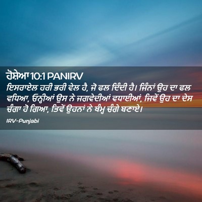 Picture 02 - ਹੋਸ਼ੇਆ 10:1 PANIRV - ਇਸਰਾਏਲ ਹਰੀ ਭਰੀ ਵੇਲ - Bible Verse Picture