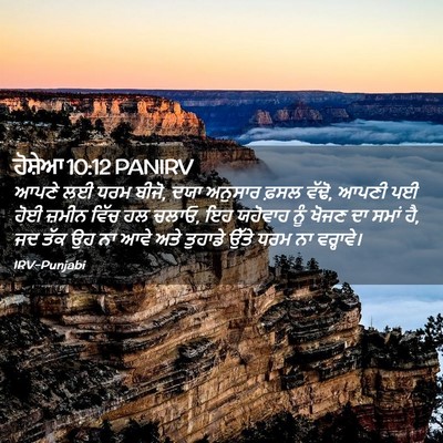 Picture 02 - ਹੋਸ਼ੇਆ 10:12 PANIRV - ਆਪਣੇ ਲਈ ਧਰਮ ਬੀਜੋ, - Bible Verse Picture