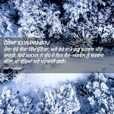 Picture 02 - ਹੋਸ਼ੇਆ 10:14 PANIRV - ਰੌਲ਼ਾ ਤੇਰੇ ਲੋਕਾਂ - Bible Verse Picture