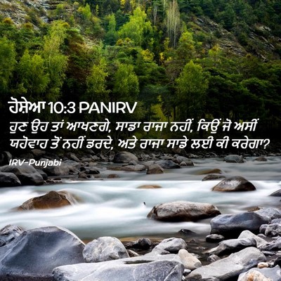 Picture 02 - ਹੋਸ਼ੇਆ 10:3 PANIRV - ਹੁਣ ਉਹ ਤਾਂ ਆਖਣਗੇ, - Bible Verse Picture