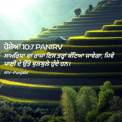 Picture 02 - ਹੋਸ਼ੇਆ 10:7 PANIRV - ਸਾਮਰਿਯਾ ਦਾ ਰਾਜਾ ਇਸ - Bible Verse Picture