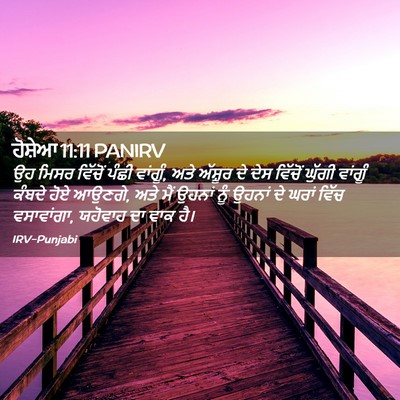 Picture 02 - ਹੋਸ਼ੇਆ 11:11 PANIRV - ਉਹ ਮਿਸਰ ਵਿੱਚੋਂ - Bible Verse Picture