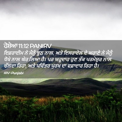 Picture 02 - ਹੋਸ਼ੇਆ 11:12 PANIRV - ਇਫ਼ਰਾਈਮ ਨੇ ਮੈਨੂੰ - Bible Verse Picture