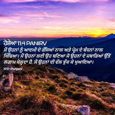 Picture 02 - ਹੋਸ਼ੇਆ 11:4 PANIRV - ਮੈਂ ਉਹਨਾਂ ਨੂੰ ਆਦਮੀ - Bible Verse Picture