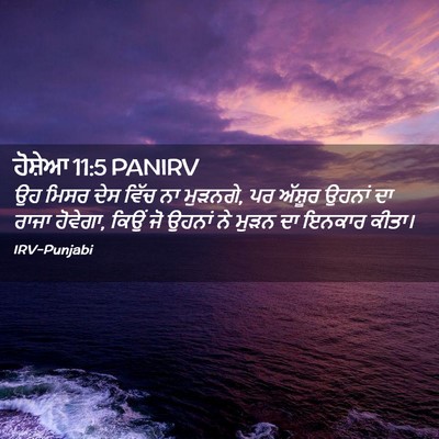 Picture 02 - ਹੋਸ਼ੇਆ 11:5 PANIRV - ਉਹ ਮਿਸਰ ਦੇਸ ਵਿੱਚ ਨਾ - Bible Verse Picture