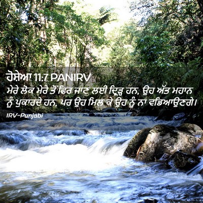 Picture 02 - ਹੋਸ਼ੇਆ 11:7 PANIRV - ਮੇਰੇ ਲੋਕ ਮੇਰੇ ਤੋਂ - Bible Verse Picture
