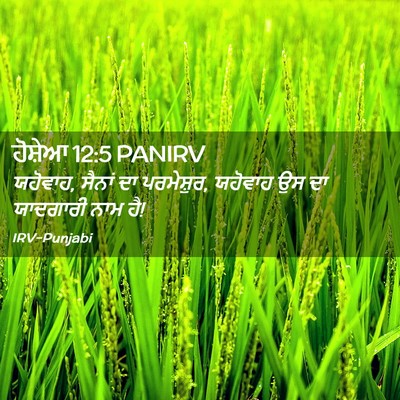 Picture 02 - ਹੋਸ਼ੇਆ 12:5 PANIRV - ਯਹੋਵਾਹ, ਸੈਨਾਂ ਦਾ - Bible Verse Picture