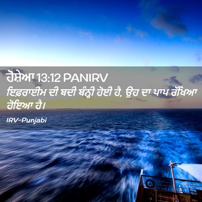 Picture 02 - ਹੋਸ਼ੇਆ 13:12 PANIRV - ਇਫ਼ਰਾਈਮ ਦੀ ਬਦੀ - Bible Verse Picture