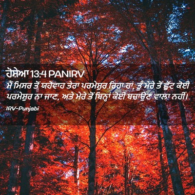 Picture 02 - ਹੋਸ਼ੇਆ 13:4 PANIRV - ਮੈਂ ਮਿਸਰ ਤੋਂ - Bible Verse Picture
