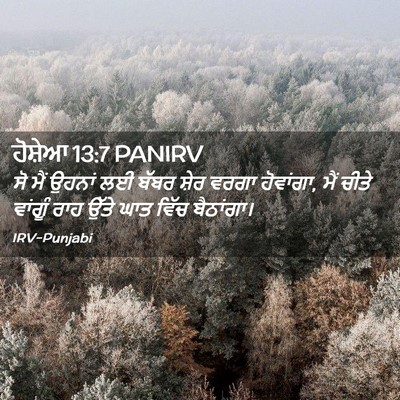 Picture 02 - ਹੋਸ਼ੇਆ 13:7 PANIRV - ਸੋ ਮੈਂ ਉਹਨਾਂ ਲਈ - Bible Verse Picture