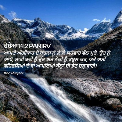 Picture 02 - ਹੋਸ਼ੇਆ 14:2 PANIRV - ਆਪਣੇ ਅੰਗੀਕਾਰ ਦੇ - Bible Verse Picture