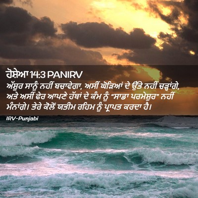 Picture 02 - ਹੋਸ਼ੇਆ 14:3 PANIRV - ਅੱਸ਼ੂਰ ਸਾਨੂੰ ਨਹੀਂ - Bible Verse Picture