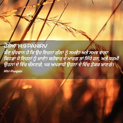 Picture 02 - ਹੋਸ਼ੇਆ 14:9 PANIRV - ਕੌਣ ਬੁੱਧਵਾਨ ਹੈ ਕਿ - Bible Verse Picture
