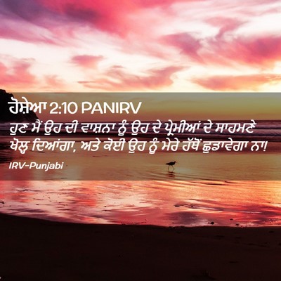 Picture 02 - ਹੋਸ਼ੇਆ 2:10 PANIRV - ਹੁਣ ਮੈਂ ਉਹ ਦੀ - Bible Verse Picture