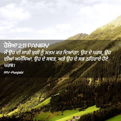 Picture 02 - ਹੋਸ਼ੇਆ 2:11 PANIRV - ਮੈਂ ਉਹ ਦੀ ਸਾਰੀ - Bible Verse Picture
