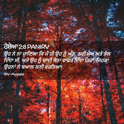 Picture 02 - ਹੋਸ਼ੇਆ 2:8 PANIRV - ਉਹ ਨੇ ਨਾ ਜਾਣਿਆ ਕਿ - Bible Verse Picture