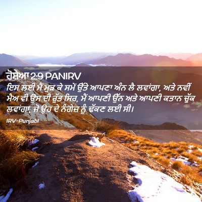 Picture 02 - ਹੋਸ਼ੇਆ 2:9 PANIRV - ਇਸ ਲਈ ਮੈਂ ਮੁੜ ਕੇ - Bible Verse Picture