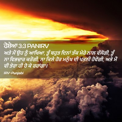 Picture 02 - ਹੋਸ਼ੇਆ 3:3 PANIRV - ਅਤੇ ਮੈਂ ਉਹ ਨੂੰ - Bible Verse Picture
