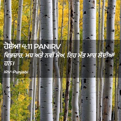Picture 02 - ਹੋਸ਼ੇਆ 4:11 PANIRV - ਵਿਭਚਾਰ, ਮਧ ਅਤੇ ਨਵੀਂ - Bible Verse Picture