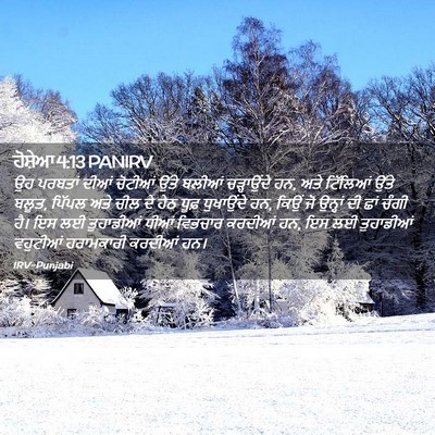 Picture 02 - ਹੋਸ਼ੇਆ 4:13 PANIRV - ਉਹ ਪਰਬਤਾਂ ਦੀਆਂ - Bible Verse Picture
