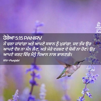 Picture 02 - ਹੋਸ਼ੇਆ 5:15 PANIRV - ਮੈਂ ਚਲਾ ਜਾਂਵਾਂਗਾ - Bible Verse Picture