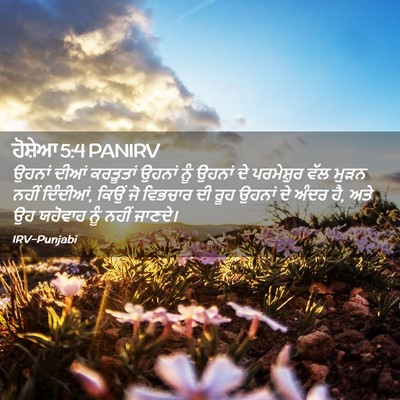 Picture 02 - ਹੋਸ਼ੇਆ 5:4 PANIRV - ਉਹਨਾਂ ਦੀਆਂ - Bible Verse Picture