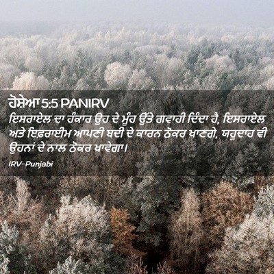 Picture 02 - ਹੋਸ਼ੇਆ 5:5 PANIRV - ਇਸਰਾਏਲ ਦਾ ਹੰਕਾਰ ਉਹ - Bible Verse Picture