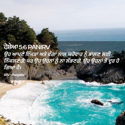 Picture 02 - ਹੋਸ਼ੇਆ 5:6 PANIRV - ਉਹ ਆਪਣੇ ਇੱਜੜਾਂ ਅਤੇ - Bible Verse Picture
