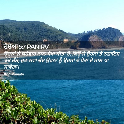 Picture 02 - ਹੋਸ਼ੇਆ 5:7 PANIRV - ਉਹਨਾਂ ਨੇ ਯਹੋਵਾਹ - Bible Verse Picture