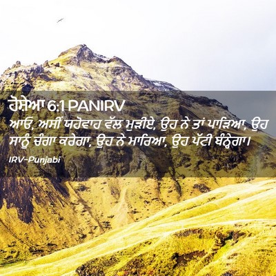 Picture 02 - ਹੋਸ਼ੇਆ 6:1 PANIRV - ਆਓ, ਅਸੀਂ ਯਹੋਵਾਹ ਵੱਲ - Bible Verse Picture