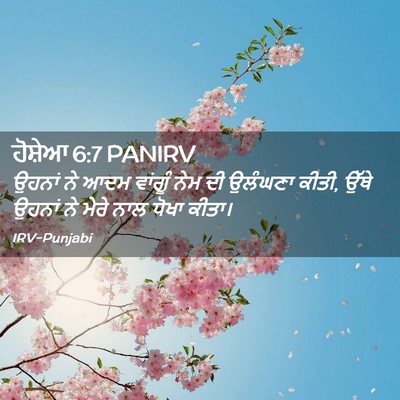 Picture 02 - ਹੋਸ਼ੇਆ 6:7 PANIRV - ਉਹਨਾਂ ਨੇ ਆਦਮ - Bible Verse Picture