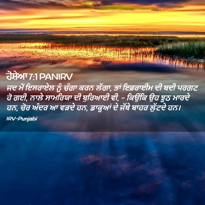 Picture 02 - ਹੋਸ਼ੇਆ 7:1 PANIRV - ਜਦ ਮੈਂ ਇਸਰਾਏਲ ਨੂੰ - Bible Verse Picture