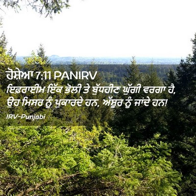 Picture 02 - ਹੋਸ਼ੇਆ 7:11 PANIRV - ਇਫ਼ਰਾਈਮ ਇੱਕ ਭੋਲੀ - Bible Verse Picture