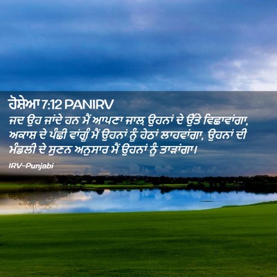 Picture 02 - ਹੋਸ਼ੇਆ 7:12 PANIRV - ਜਦ ਉਹ ਜਾਂਦੇ ਹਨ ਮੈਂ - Bible Verse Picture