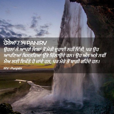 Picture 02 - ਹੋਸ਼ੇਆ 7:14 PANIRV - ਉਹਨਾਂ ਨੇ ਆਪਣੇ - Bible Verse Picture