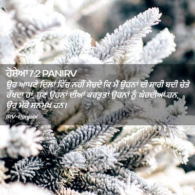 Picture 02 - ਹੋਸ਼ੇਆ 7:2 PANIRV - ਉਹ ਆਪਣੇ ਦਿਲਾਂ ਵਿੱਚ - Bible Verse Picture