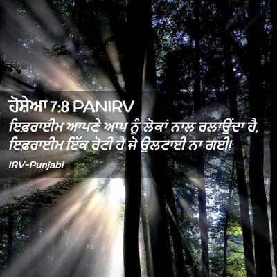 Picture 02 - ਹੋਸ਼ੇਆ 7:8 PANIRV - ਇਫ਼ਰਾਈਮ ਆਪਣੇ ਆਪ - Bible Verse Picture