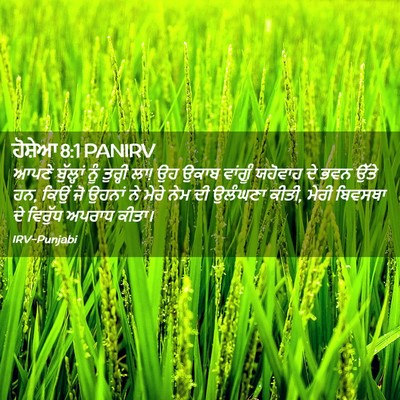 Picture 02 - ਹੋਸ਼ੇਆ 8:1 PANIRV - ਆਪਣੇ ਬੁੱਲ੍ਹਾਂ ਨੂੰ - Bible Verse Picture