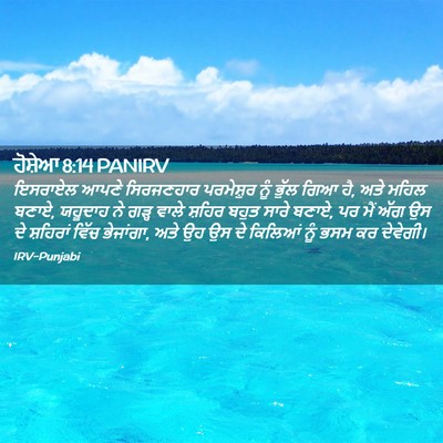 Picture 02 - ਹੋਸ਼ੇਆ 8:14 PANIRV - ਇਸਰਾਏਲ ਆਪਣੇ - Bible Verse Picture