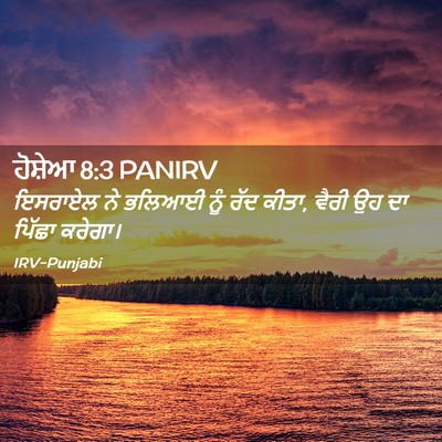Picture 02 - ਹੋਸ਼ੇਆ 8:3 PANIRV - ਇਸਰਾਏਲ ਨੇ ਭਲਿਆਈ - Bible Verse Picture