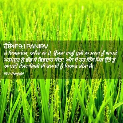 Picture 02 - ਹੋਸ਼ੇਆ 9:1 PANIRV - ਹੇ ਇਸਰਾਏਲ, ਅਨੰਦ ਨਾ - Bible Verse Picture