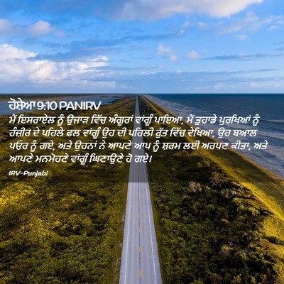 Picture 02 - ਹੋਸ਼ੇਆ 9:10 PANIRV - ਮੈਂ ਇਸਰਾਏਲ ਨੂੰ - Bible Verse Picture