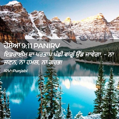 Picture 02 - ਹੋਸ਼ੇਆ 9:11 PANIRV - ਇਫ਼ਰਾਈਮ ਦਾ ਪਰਤਾਪ - Bible Verse Picture