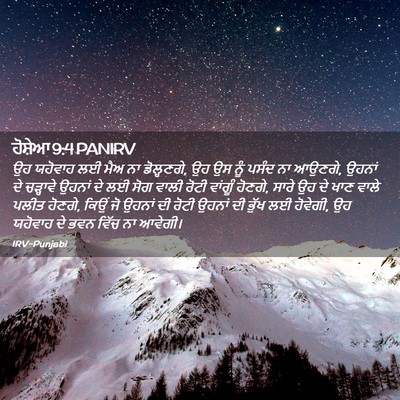 Picture 02 - ਹੋਸ਼ੇਆ 9:4 PANIRV - ਉਹ ਯਹੋਵਾਹ ਲਈ ਮੈਅ ਨਾ - Bible Verse Picture