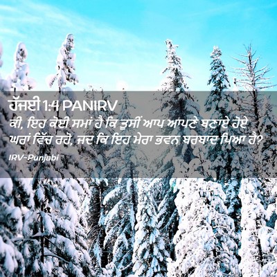 Picture 02 - ਹੱਜਈ 1:4 PANIRV - ਕੀ, ਇਹ ਕੋਈ ਸਮਾਂ ਹੈ - Bible Verse Picture
