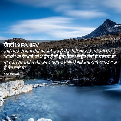 Picture 02 - ਹੱਜਈ 1:9 PANIRV - ਤੁਸੀਂ ਬਹੁਤੇ ਦੀ ਆਸ - Bible Verse Picture