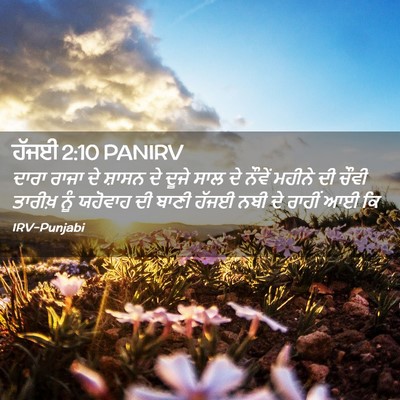 Picture 02 - ਹੱਜਈ 2:10 PANIRV - ਦਾਰਾ ਰਾਜਾ ਦੇ ਸ਼ਾਸਨ - Bible Verse Picture
