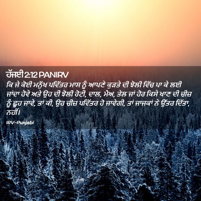 Picture 02 - ਹੱਜਈ 2:12 PANIRV - ਕਿ ਜੇ ਕੋਈ ਮਨੁੱਖ - Bible Verse Picture